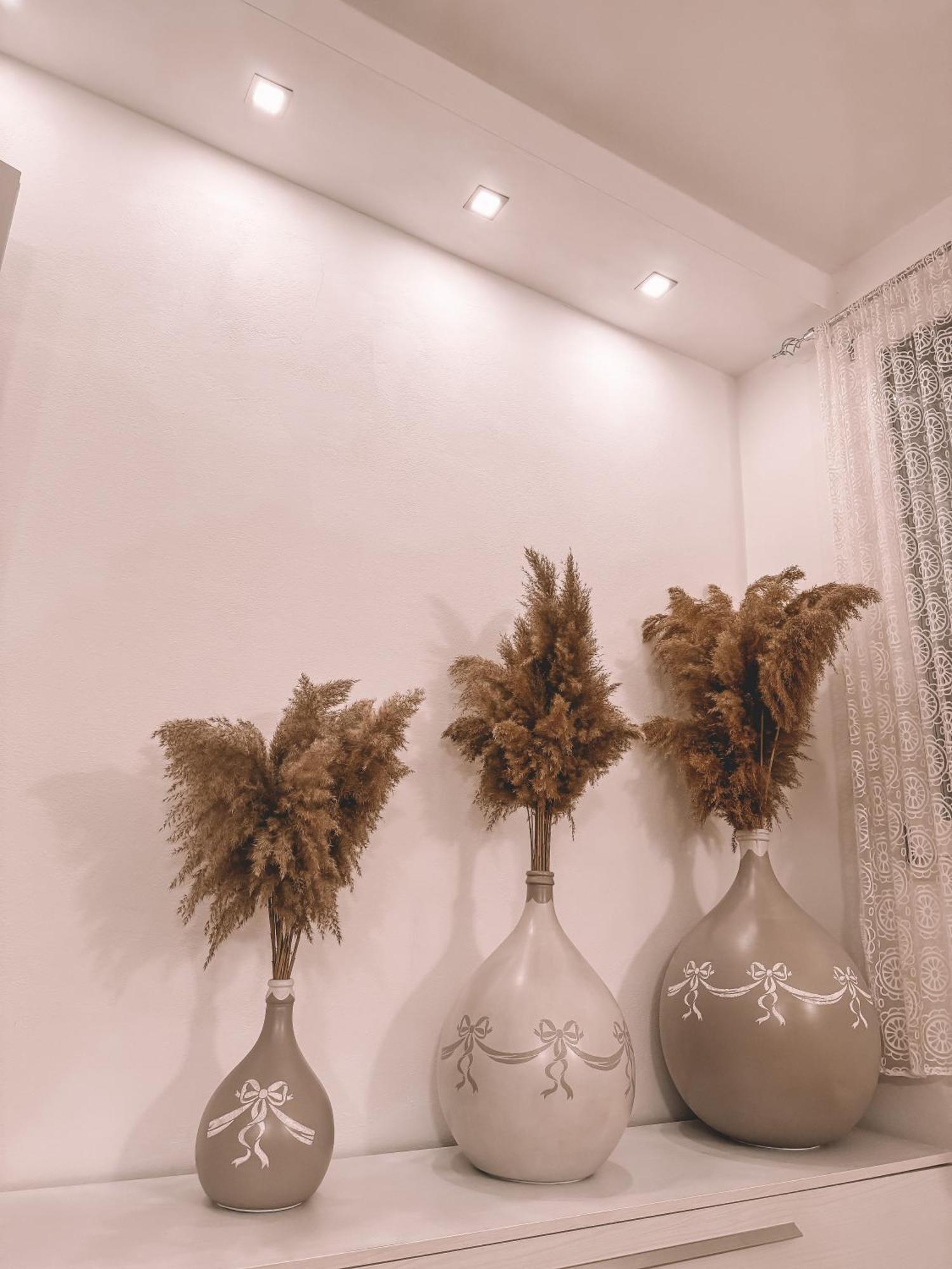 Villa Forni 切塞纳蒂科 外观 照片